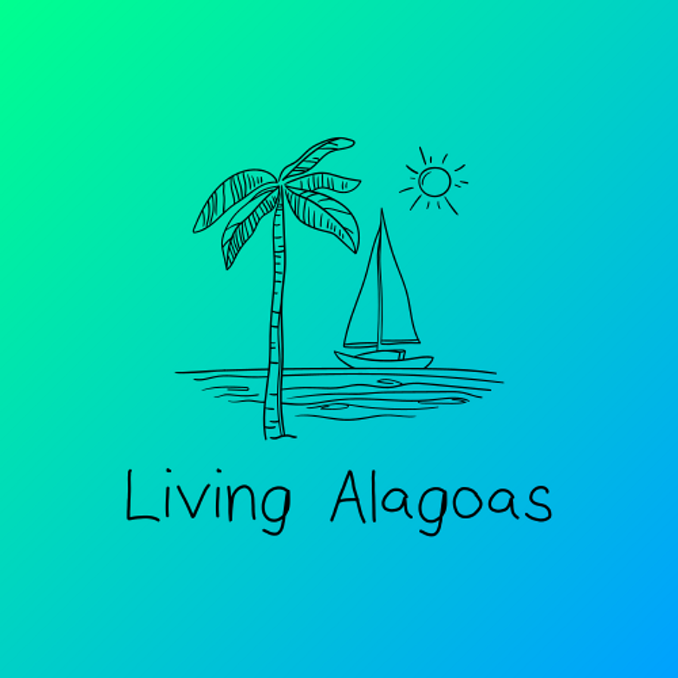 Viglioni Lima Empreendimentos e Administração de imóveis LTDA